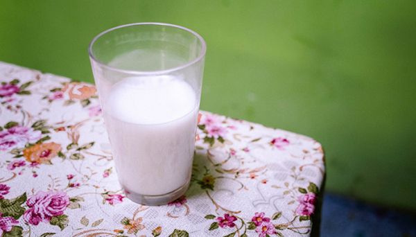 椰奶怎么做 椰奶的做法