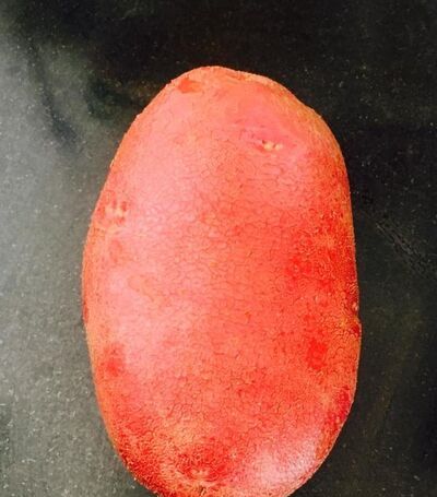 五花肉炖土豆和酸菜的家常做法