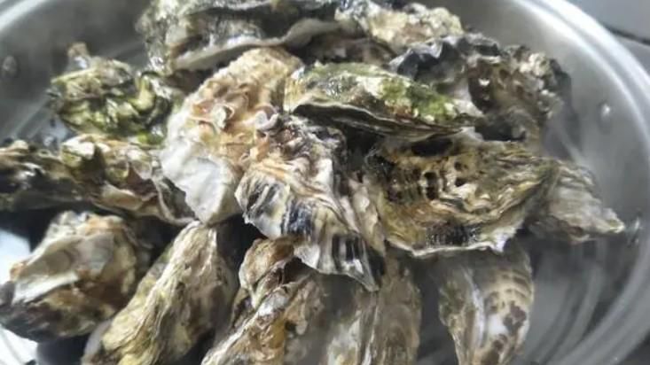 生蚝的做法需要蒸几分钟(5~10分钟)