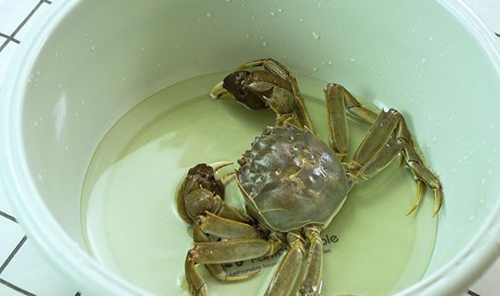 螃蟹怎么蒸