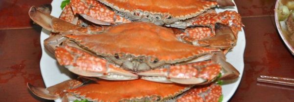 清蒸大螃蟹窍门