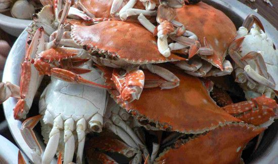 清蒸大螃蟹窍门