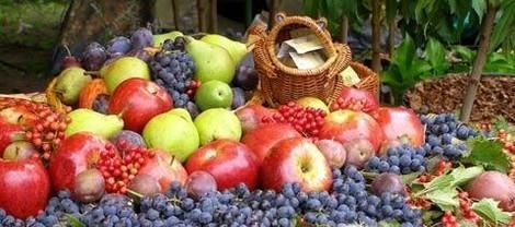 （烘焙蛋糕篇）制作蛋糕需要准备哪些原料？