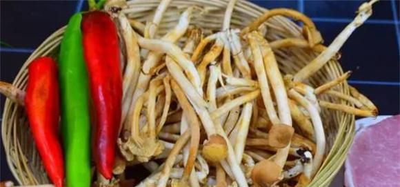 茶树菇的新吃法，加上1块瘦肉这样做，鲜香美味，好吃又下饭