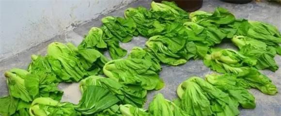 酸菜正宗家庭做法脆爽可口