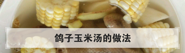 鸽子玉米汤的做法