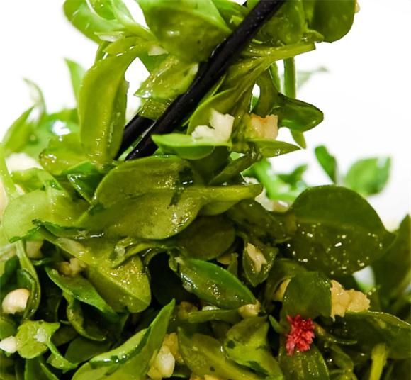 穿心莲怎么凉拌？一步教你清新爽口的，还解腻的小凉菜做法