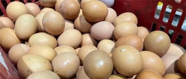 水煮荷包蛋 我只认准这2种做法 不散花 圆嫩零失败 有手就会