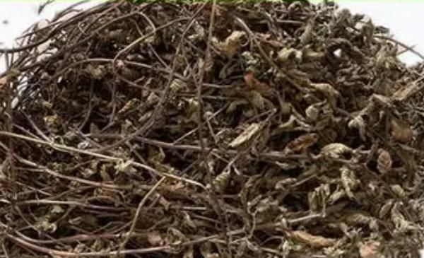 烧仙草是怎么做的 烧仙草的功效有哪些?