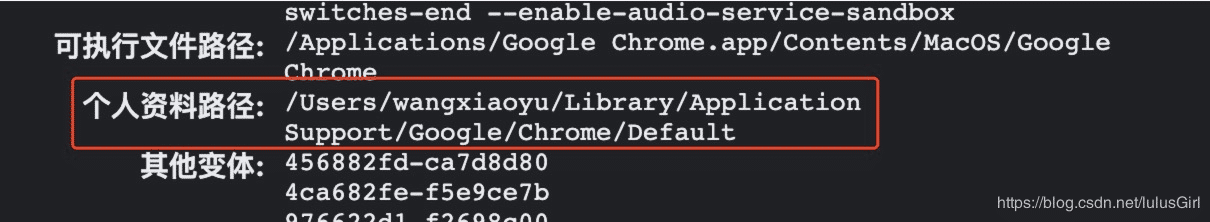 通过实例解析chrome如何在mac环境中安装vue-devtools插件