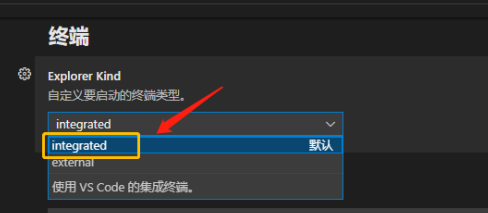 Vscode自定义终端类型教程分享