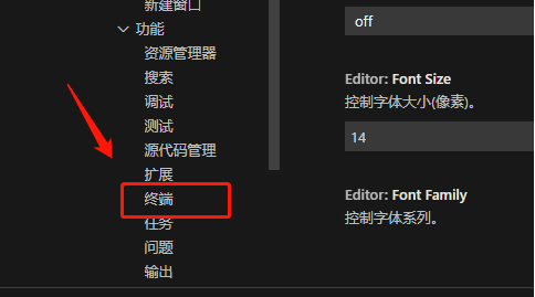 Vscode自定义终端类型教程分享