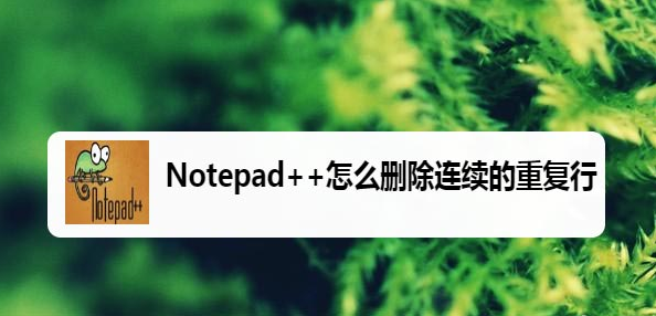 Notepad++删除重复行步骤介绍