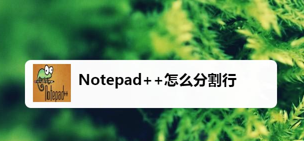 Notepad++分割行方法介绍
