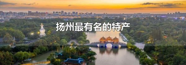 扬州最有名的土特产