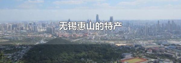 无锡惠山的特产