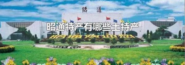 昭通特产有哪些土特产