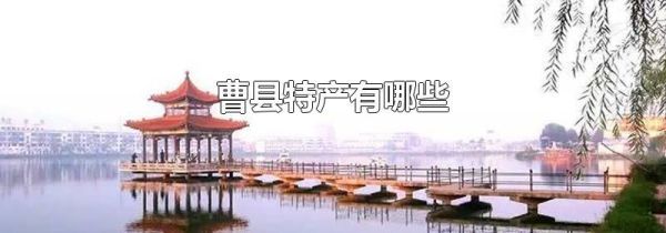 曹县特产有哪些