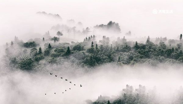 重庆周边旅游景点 重庆周边旅游景点有哪些