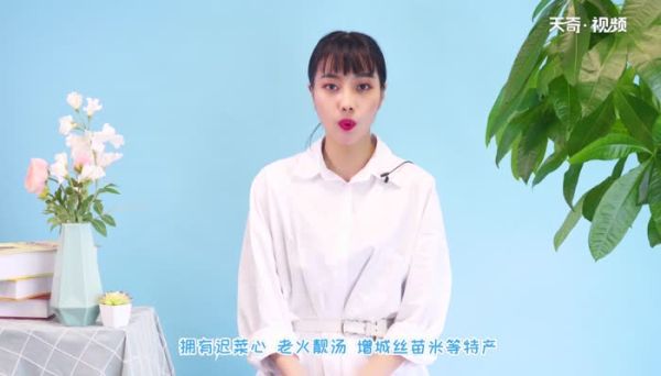 广州旅游攻略 广州两日游自由行攻略