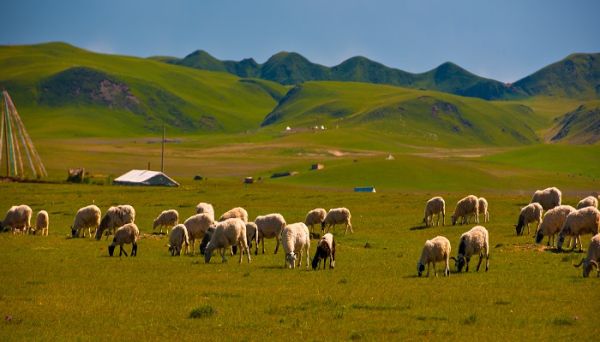 呼市旅游景点大全必去的地方 呼市旅游景点想去的地方