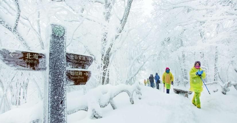 元旦可以去哪里玩