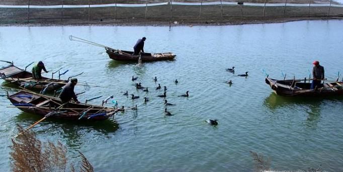 东平湖旅游攻略