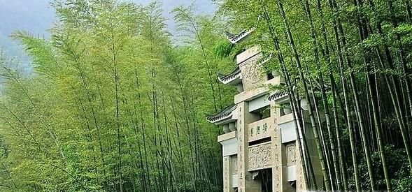 永川茶山竹海旅游攻略