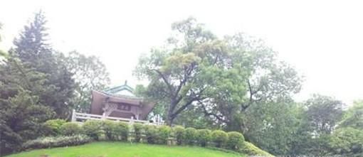 梧州亲子旅游攻略