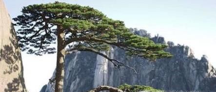 黄山周边旅游攻略
