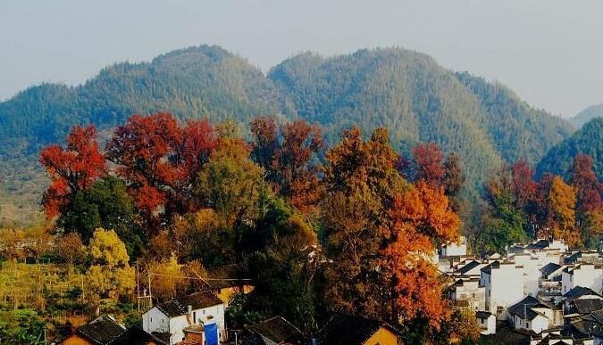 秋天去婺源哪里好玩,秋天去婺源玩要注意什么