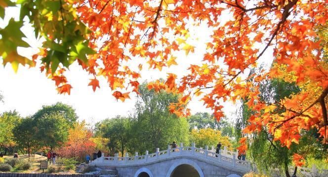 11月去北京哪里好玩，11月去北京穿什么衣服