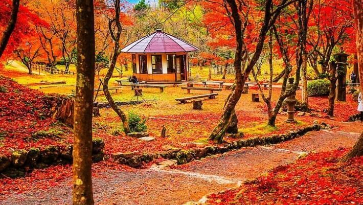 秋天去日本哪里好玩，秋天日本看红叶的地方
