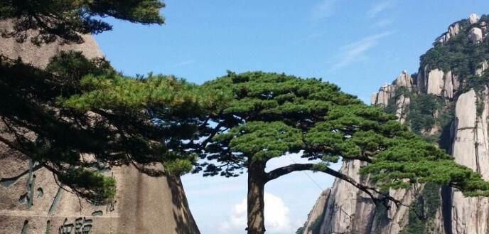 秋天黄山哪里好玩，秋天去黄山的最佳时间