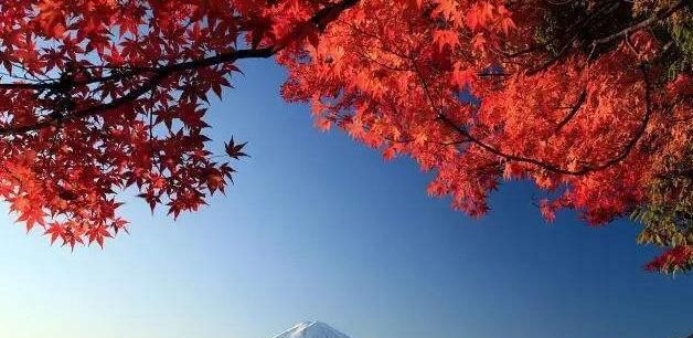 11月份去日本要带什么，11月去日本哪里好玩