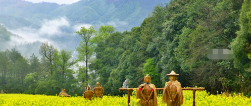 婺源旅游攻略