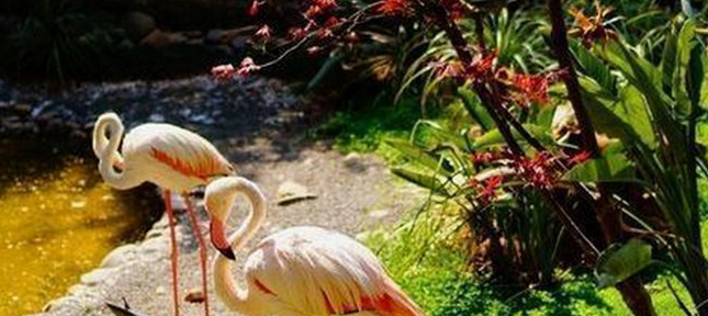 昆明景点排行榜前十名