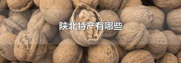 陕北特产有哪些