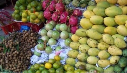 越南最常见的几种水果？