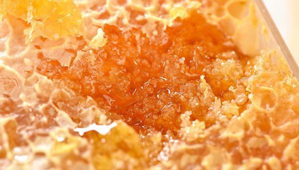 蒙山特色小吃 蒙山的特色小吃有什么