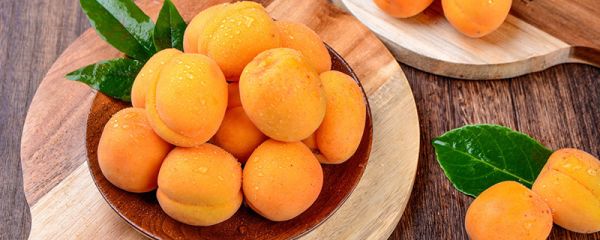 固原特色小吃 固原的特色小吃都有什么