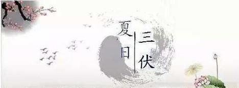 三伏天如何养生,要注意哪些事项