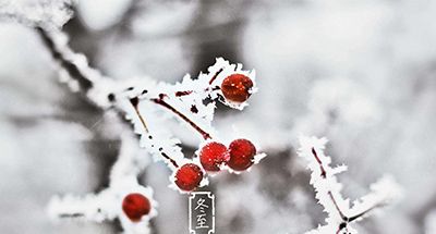 真正的“数九寒天”来啦！冬至养生从搓手泡脚开始