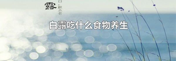 白露吃什么食物养生