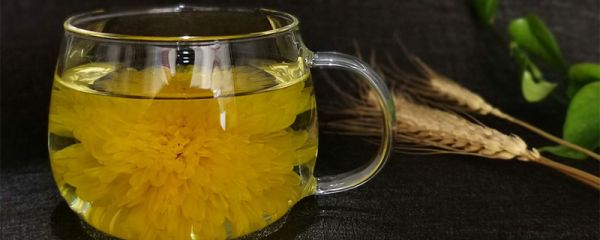 菊花茶喝了有什么好处 菊花茶的养生保健作用