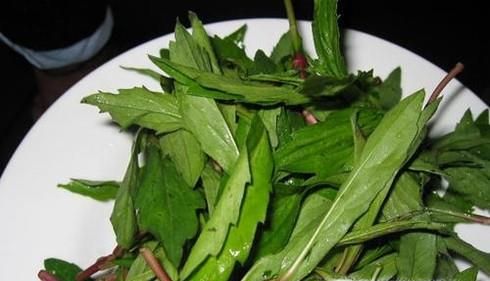 春季有哪些养生的野菜?有哪些功效呢?