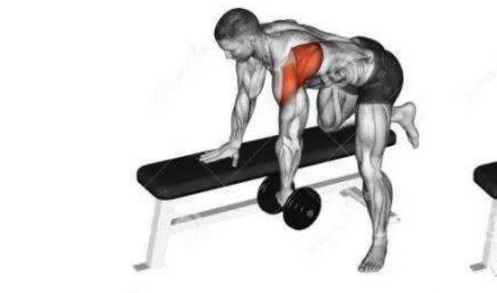 哑铃经典8个动作