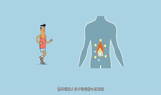 有氧运动和无氧运动的区别