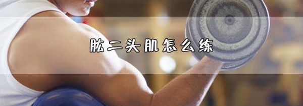 肱二头肌怎么练