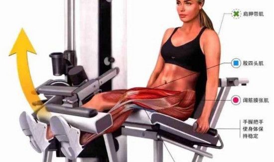 大腿伸展训练器动作要领